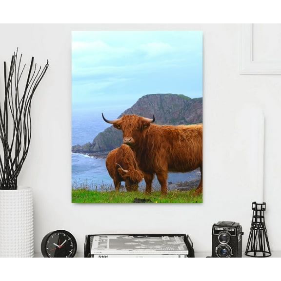 s of highland cows Home Canvas