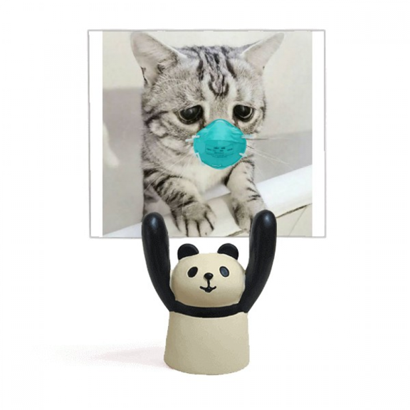 sad head cat expression fsorrowful memo holder cartoon animal panda stand decoration
