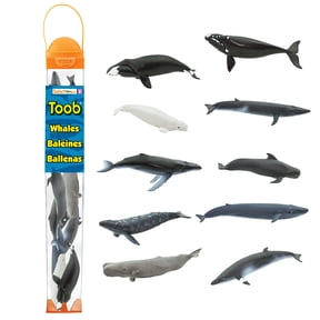 Safari Ltd. Whale TOOB Figurine Set - Detailed 2.5"-4" Plastic Figures - Educational Ocean Animal Toy Set for Boys, Girls & Kids Ages 3+