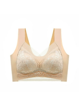 Push Up Bra for Small Breasts, Fashion Women's Lace Beauty Back