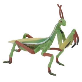 said 1Pc Mantis Figurine Plastic Mantis Model Realistic Insect Model Kids Toy
