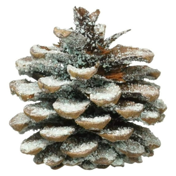 saney Fireplace Color Changing Pine Cones Wood Burning Accessories