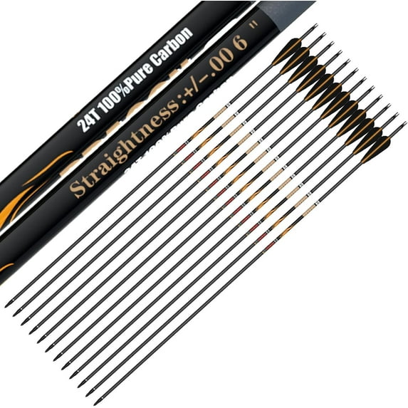 sanlida 12 PCs, 100% Pure Carbon Arrows, 0.006'' Straightness, Dragon 8 Flagship 24T Carbon Hunting Arrow for Compound Bow, Professional Standard Hunting Arrows with Removable Tips