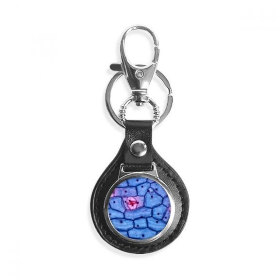 science bioplast microcosc pattern key link chain keyholder finder hook metal