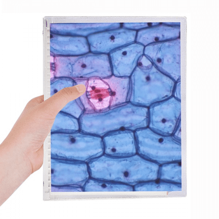 science bioplast microcosc pattern notebook loose diary refillable journal statiry