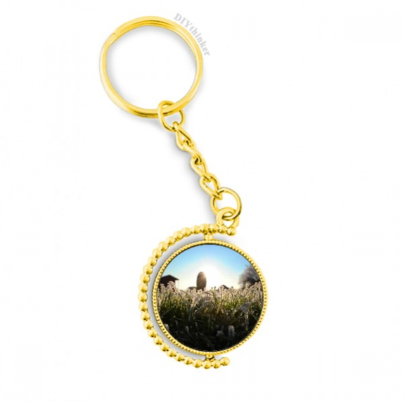 science nature scenery sunshine green ry metal connector key chain accessory en keyholder