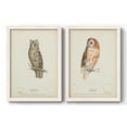 thumbnail image 1 of Scops- Eared Owl - Premium Framed Canvas 2 Piece Set - Ready to Hang, 1 of 7