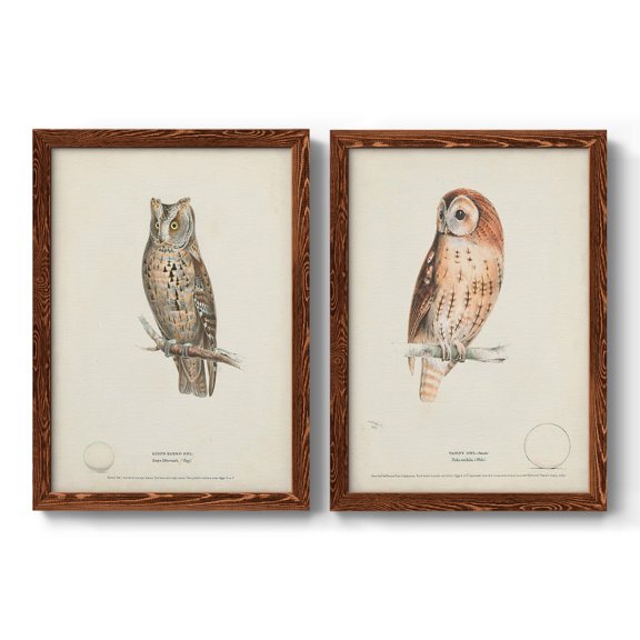 Scops- Eared Owl - Premium Framed Canvas 2 Piece Set - Ready to Hang