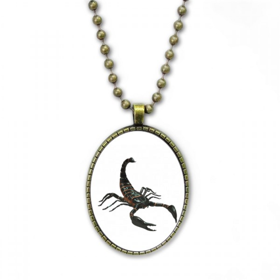 scorpion natural insect breakthrough necklace vintage chain bead pendant jewelry collection