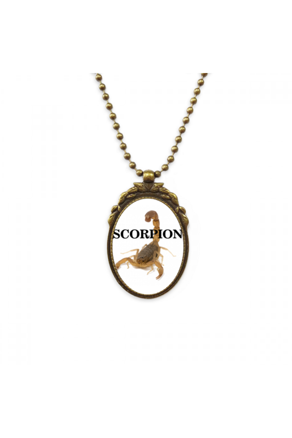 scorpion natural insect routine antique necklace vintage bead pendant keychain