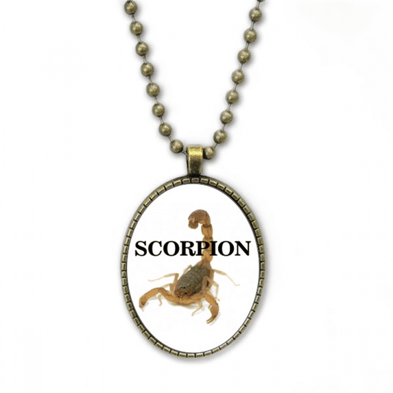 scorpion natural insect routine necklace vintage chain bead pendant jewelry collection