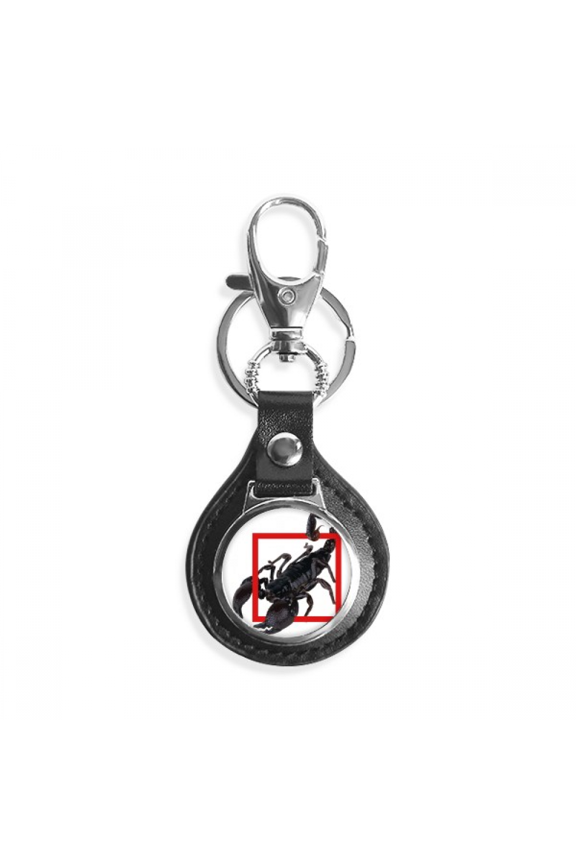 scorpion natural insect shock key link chain keyholder finder hook metal