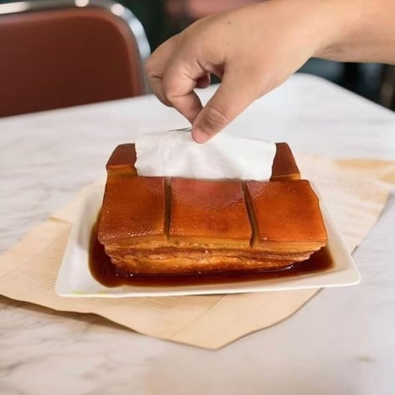 sdhkgrrt Tissue Box Novelty, Tissue Box, Funny Realistic Tissue Box Novelty, Meat Shaped Napkin Holder for Kitchen, Braised Pork Decor for Counter Top, Conversation Piece for Party Decor