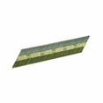 thumbnail image 1 of senco fastening systems ge24apbx 2.5k 2-3/8" ring nail, 1 of 1