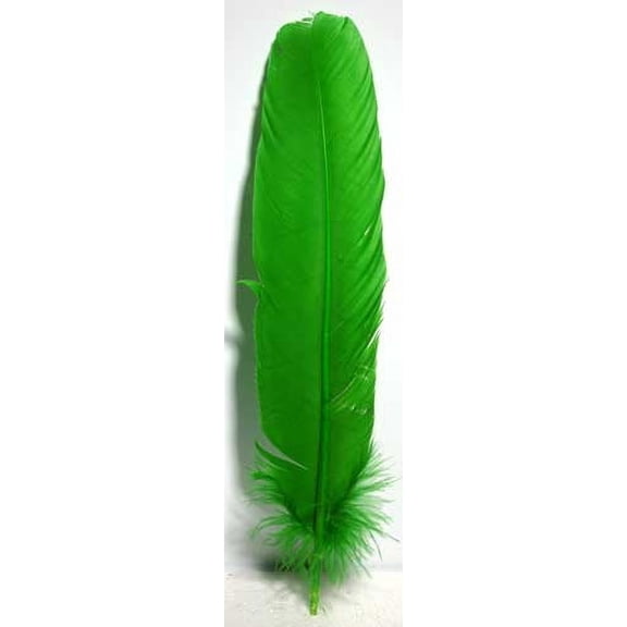 (set of 10) Green feather 12" | Trending Now