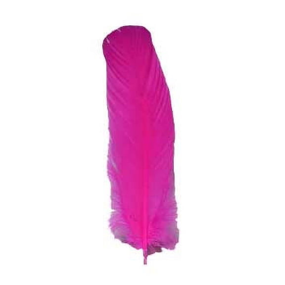 (set of 10) Pink feather 12" | Trending Now