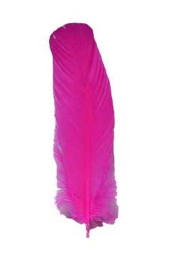 (set of 10) Pink feather 12" | Trending Now