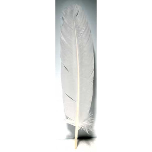 (set of 10) White feather 12"