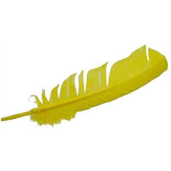 (set of 10) Yellow feather 12" | Trending Now
