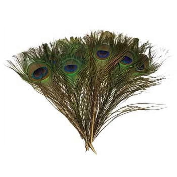 (set of 100) Peacock feather | Trending Now