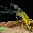 shad baits for fishing crank baits for bass fishing bulk creature baits for bass fishing Glow In