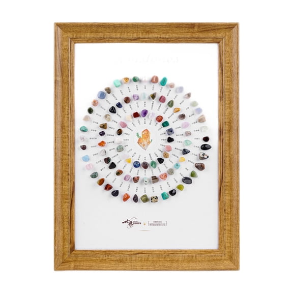 shamjina Crystal Mineral Rock Mineral Stones Collection for Friend Girl Gift