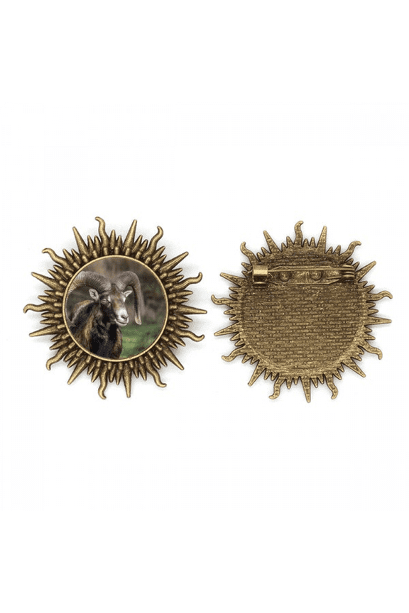 sheep ry science nature metall sonne brosche haken pin