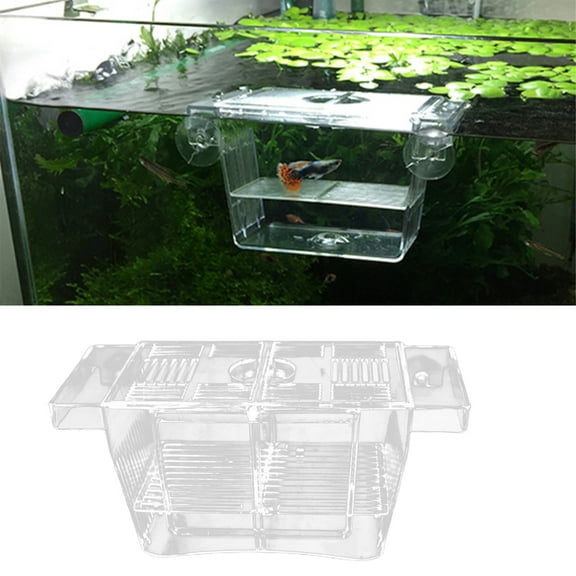 shenmeida Fish Breeding Box, Acrylic Fish Isolation Box with Suction Cups, Aquarium Acclimation Hatchery Incubator for Baby Fishes Shrimp Clownfish and Guppy