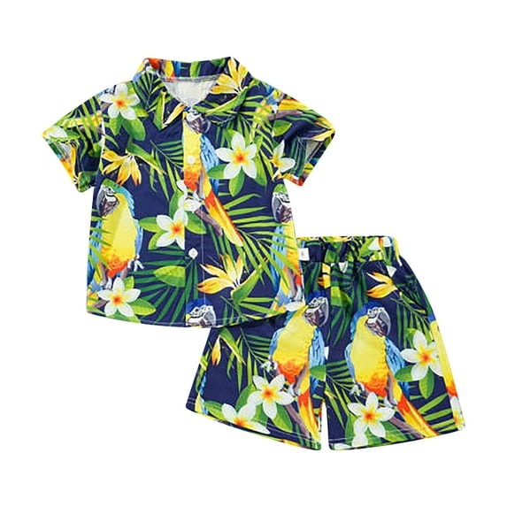 shoper Boys Outfits Size 10-12 Summer Crewneck Button Up Print Loose Fit Shorts Sleeve Sports Sets Party Outfits Boys' Two Piece Summer Set Green 80