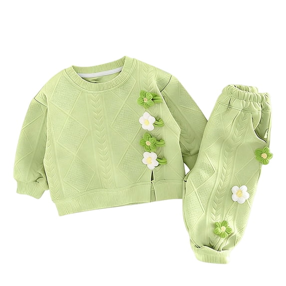 shoper Girls Two Piece Outfit Floral Print Top with Soft Pants Casual Playwear Set for Toddler Baby Daughter, Girl Sets Size 10
