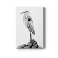 thumbnail image 1 of Shoreline Heron in B&W II Premium Gallery Wrapped Canvas - Ready to Hang, 1 of 7
