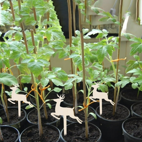 shyuyusa Plant Label Signs- 10PCS Garden Markers, Plant Labels for Outdoor Garden Waterproof, Plant Tags with Names, Indoor Patio Tags for Succulent Flowers Greenery Seedling