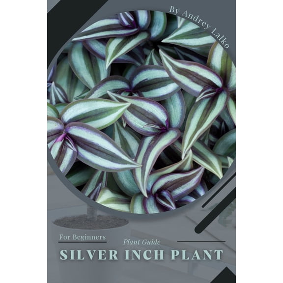 silver inch plant : Plant Guide (Paperback)