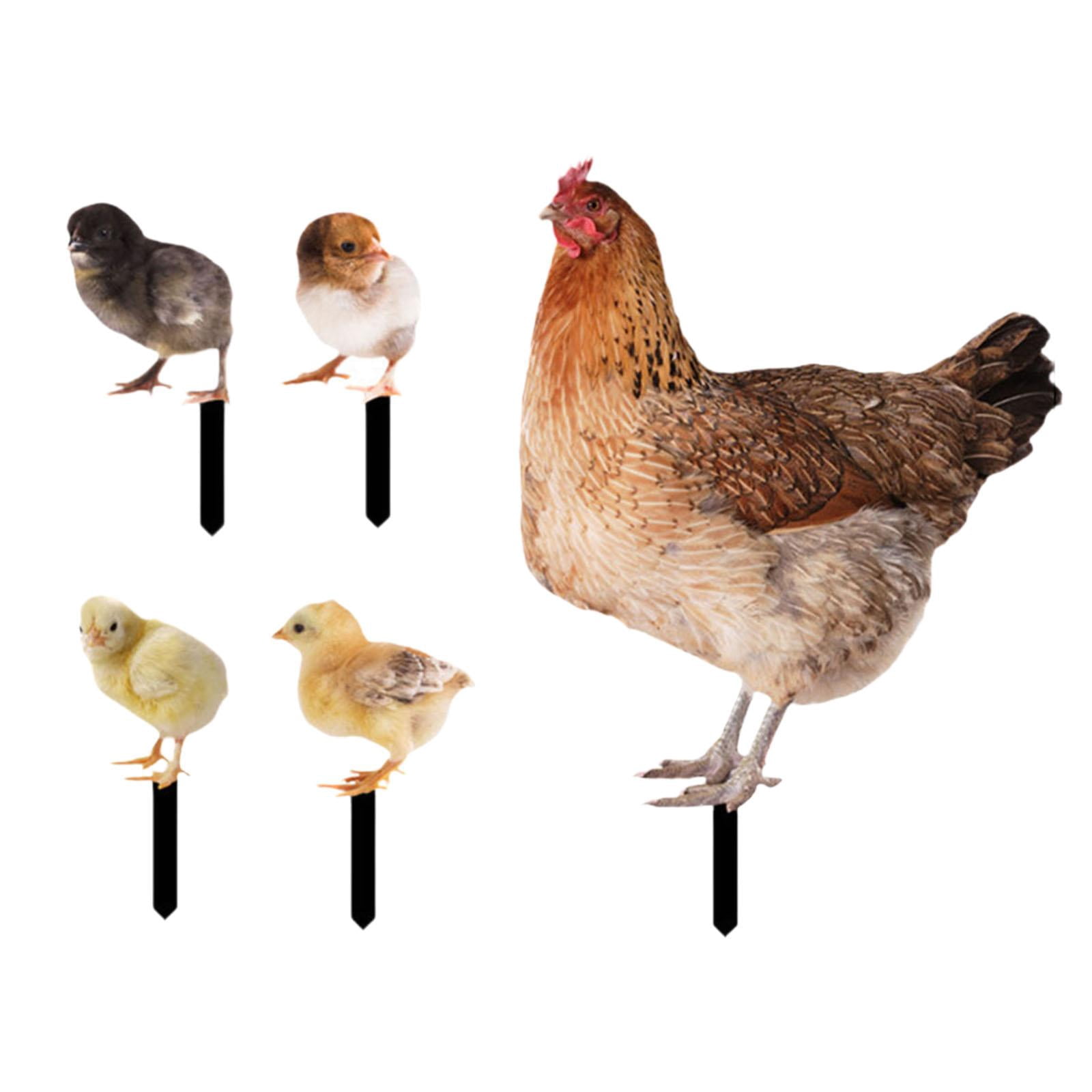simhoa 5Pcs Hen Statue Garden Stakes Chicken Figurines Ground Insert Yard Sign Yard Art Animal Sculptures for Lawn Patio Floor Decor