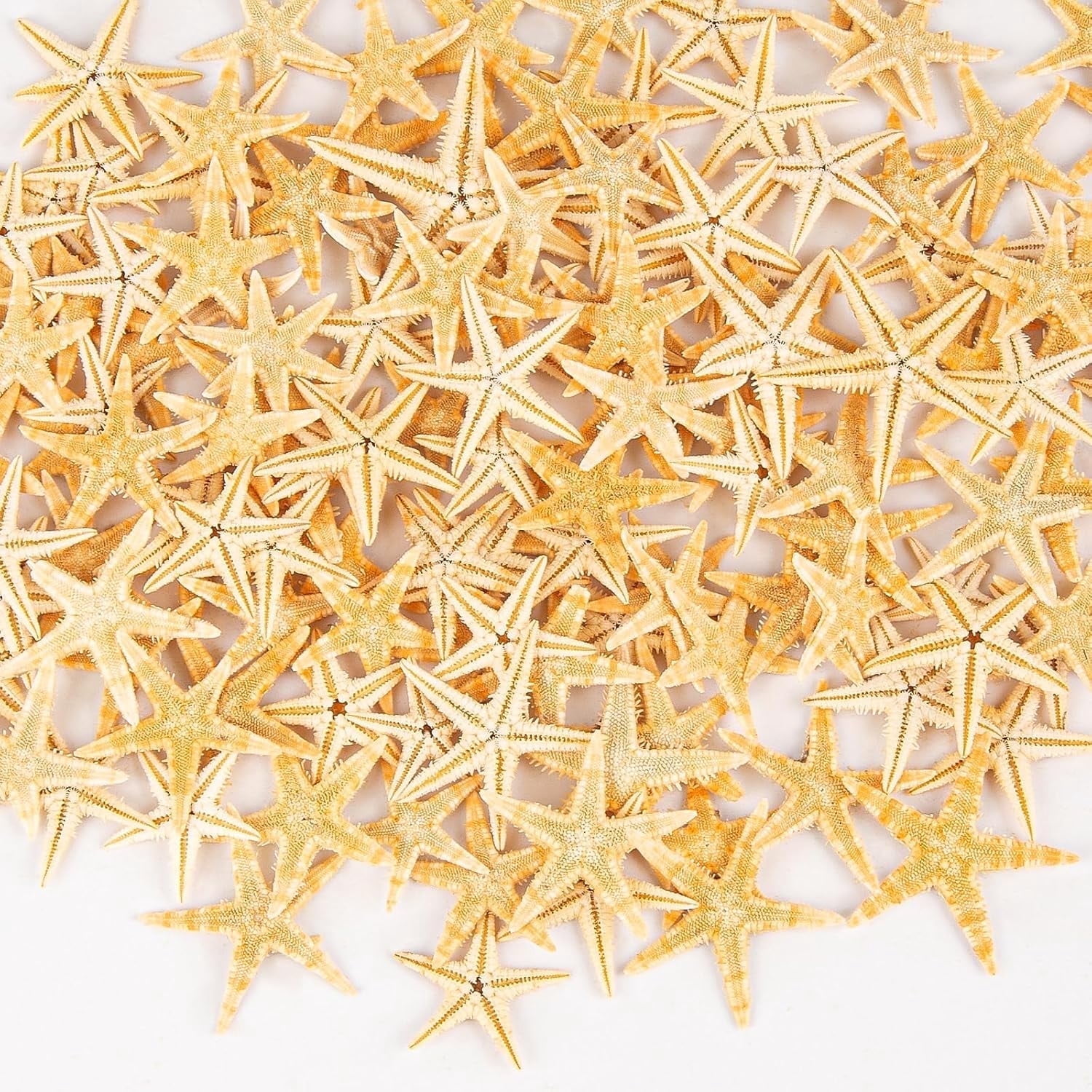 Sinkoo 100 Pcs Small Starfish for Crafts 0.4