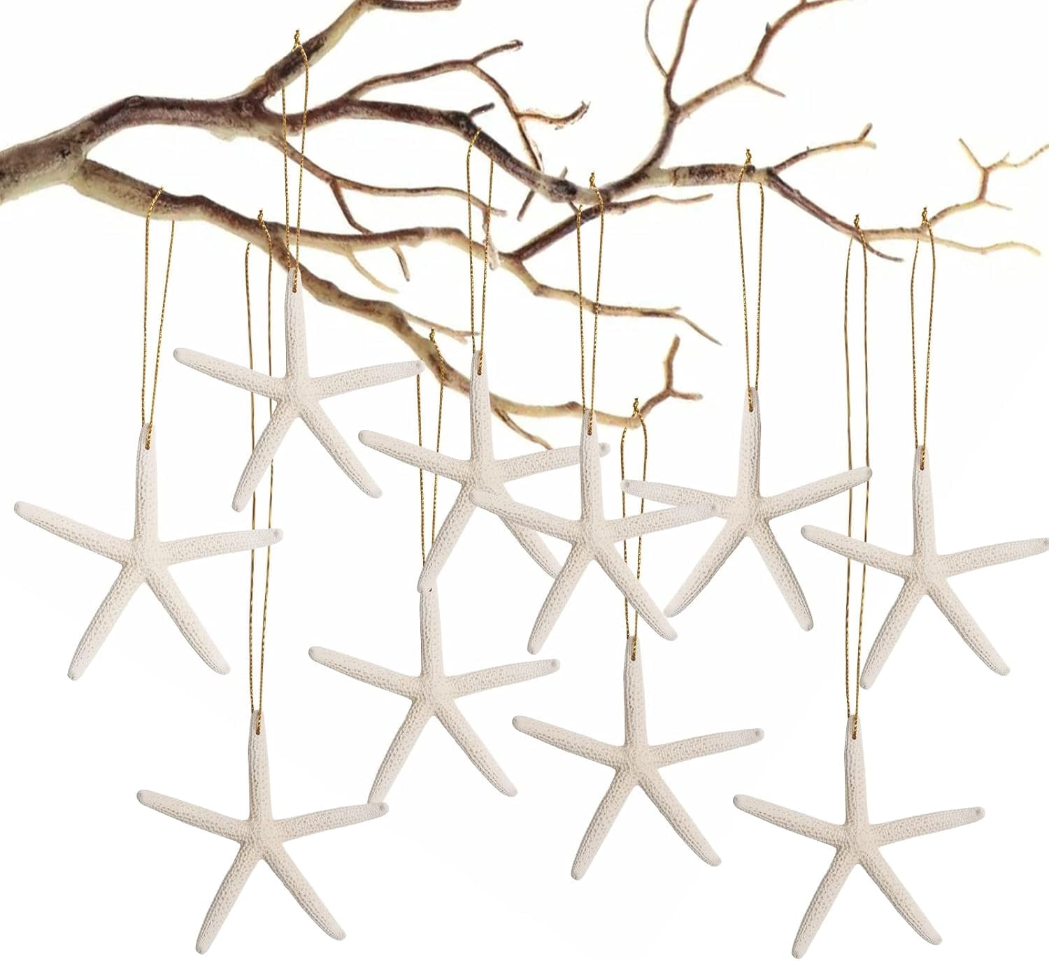 Sinkoo 20pcs Christmas Tree Ornaments, 3"-4" Seashell Starfish Christmas Ornaments for Crafts, Coastal Xmas Hanging Decor for Home Party Wedding