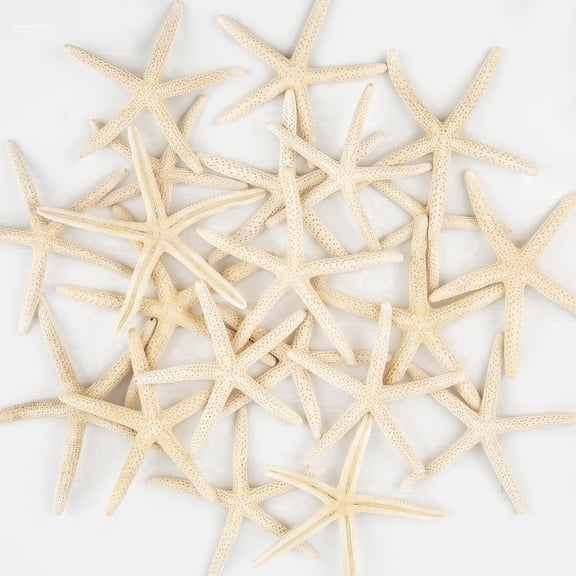 SINKOO 20pcs Natural Starfish Seashell for Crafts, 2" to 4" Medium Starfish Craft Shells, Beach Theme Decor for DIY Crafts Wedding Party Christmas