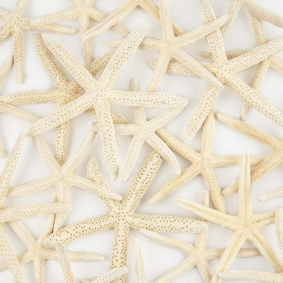 Sinkoo 20pcs Large Starfish for Crafts, 4"-6" Natural Starfish Decor, DIY Crafts Shell Beach Theme Decor for Wedding Home Christmas Tree Ornaments