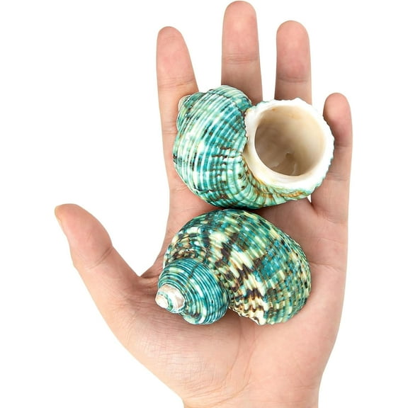 Sinkoo 2Pcs Boutique Hermit Crab Shells Medium to Large, 2.1"-2.6" Natural SeaShells Opening Size  0.7" - 0.9", for Hermit Crab Turbo Growth Shells Supplies Animal Accessories