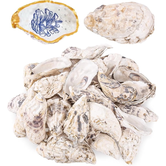 Sinkoo 30Pcs Oyster Shells Concave 5"-6" Extra Large Oyster Shells for Crafts Natural Oyster Shells Bulk, for Home Vase Filler, Xmas Ornaments, DIY Arts and Crafts Sea Shells