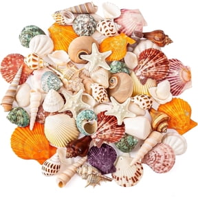 Sinkoo Sea Shell Mixed Ocean Shells Set, 15 Kinds 1.2"-2.7" Various Sizes Natural Seashell and Starfish for Beach Themed Decor Diy Crafts Supplies Vase Fillers