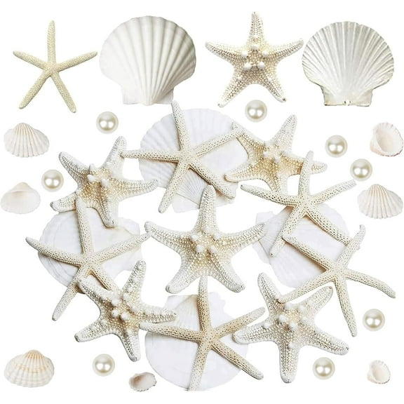 Sinkoo Starfish and Scallop Shells for Crafts, 24Pcs Natural Bulk Large Beach Sea Shells and Pearls Mixed, Perfect for Beach Theme Party Christmas Decor Fishtank DIY Crafts