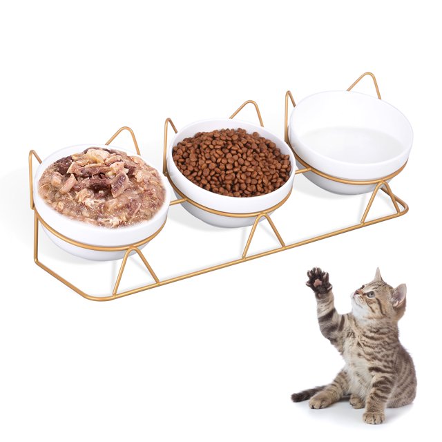 sixwipe 3 Pcs Cat Food Bowls, Ceramic 16.9 oz Upgraded with Stainless