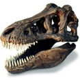 thumbnail image 1 of skullduggery 0239 Tyrannosaurus Skull Large, 1 of 1