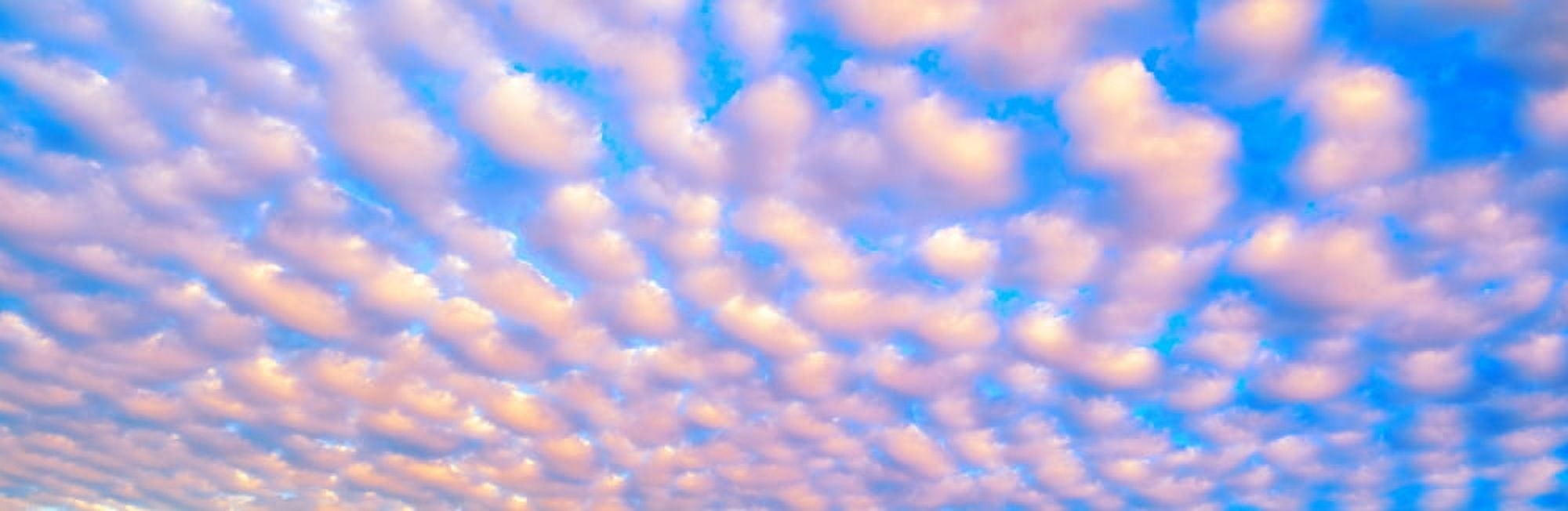 This is a sky image of almost wall to wall clouds The clouds are in the shape of cotton balls against a blue sky Canvas Art - Panoramic Images (36 x 12)