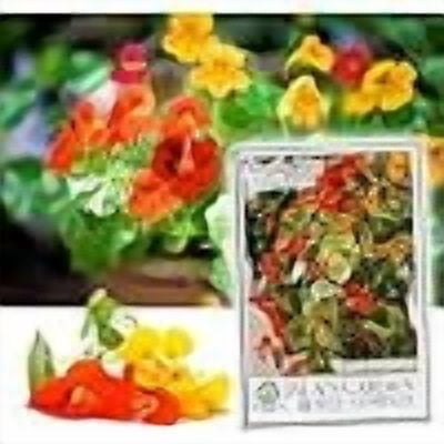 sla's Garden Seeds 50 Nasturtium Plant Seeds, Sun to Shade