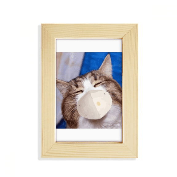 sleepy squinting head pet cat fdesktop display photo frame picture art painting 5x7 inch