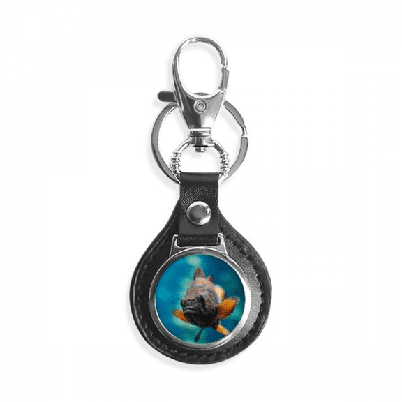 small tropical fish marine organism key link chain keyholder finder hook metal