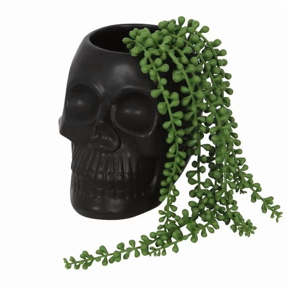 something different Black Skull Plant Pot