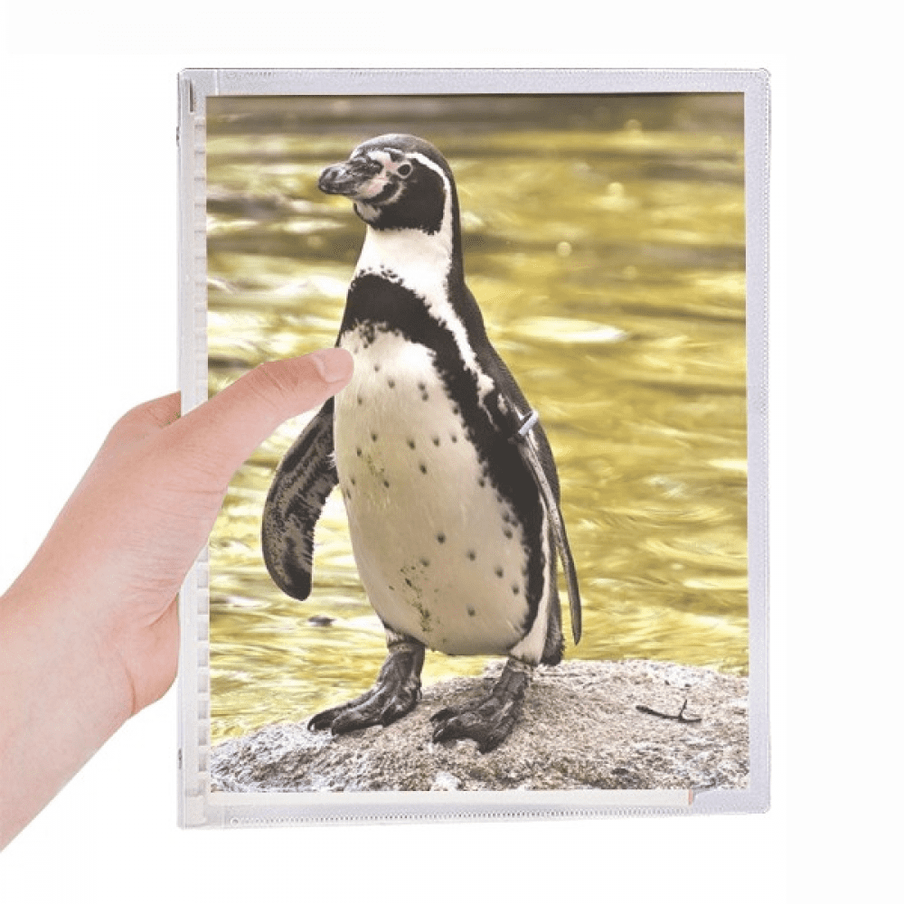 southern ocean penguin antarctic science nature notebook loose diary refillable journal statiry